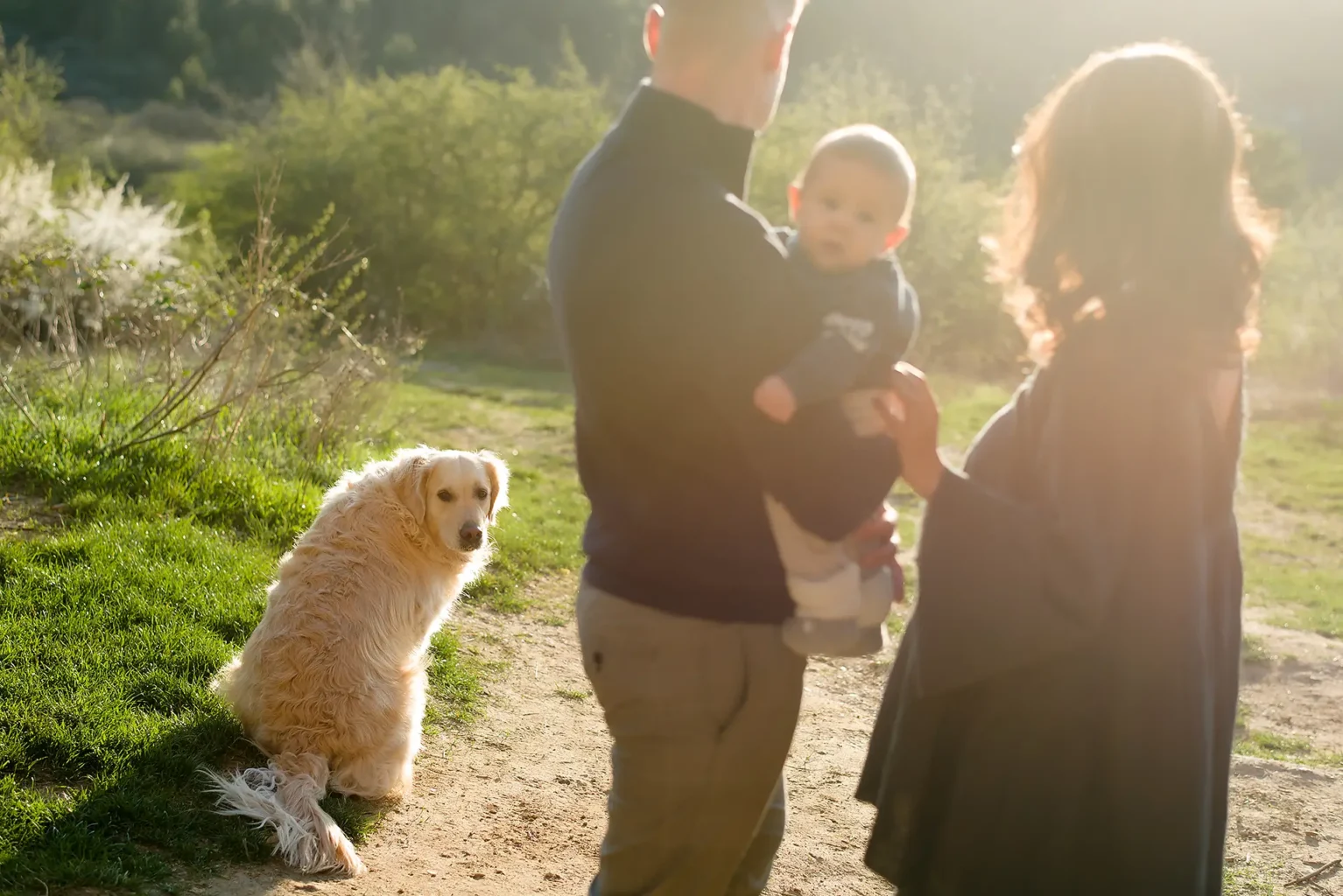 Családi fotózás naplementében kutyával a természetben tavasszal - Budapest - Family Photoshoot in sunset at the nature at Spring