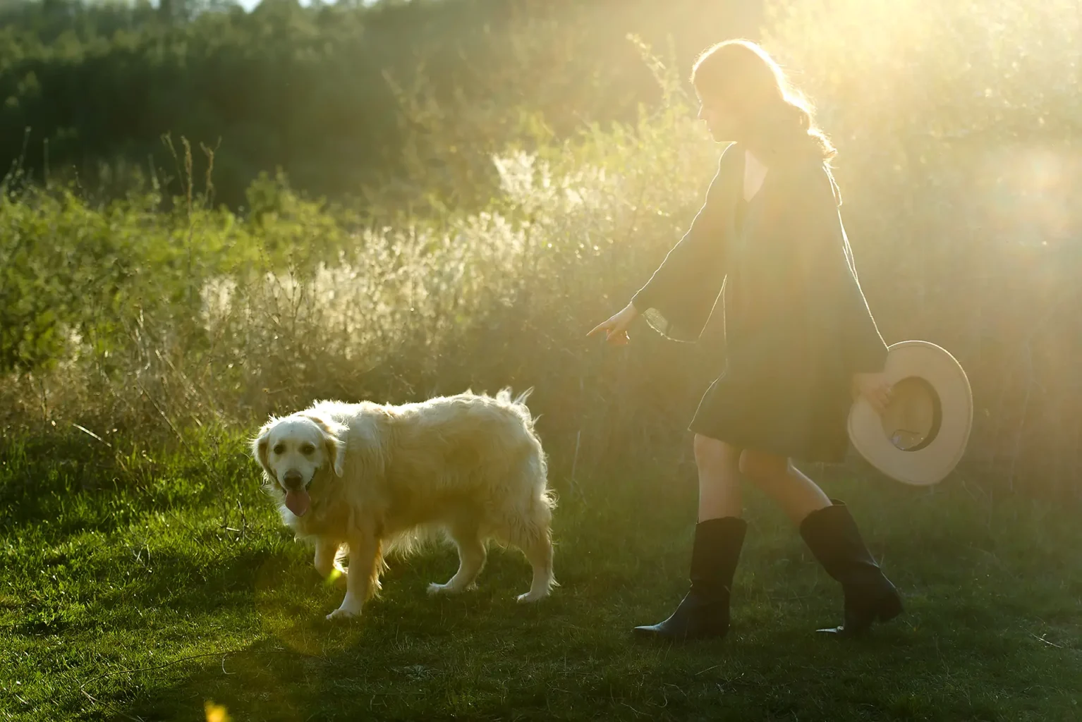 Családi fotózás naplementében a természetben tavasszal - Budapest - Family Photoshoot in sunset at the nature at Spring