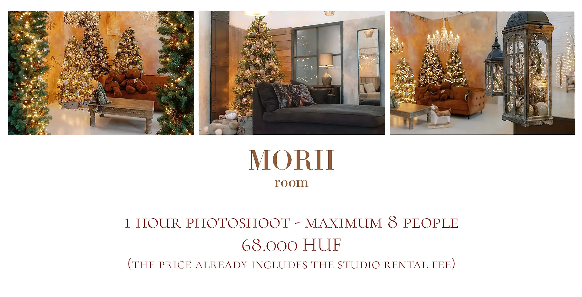 Christmas Photography Budapest best studios