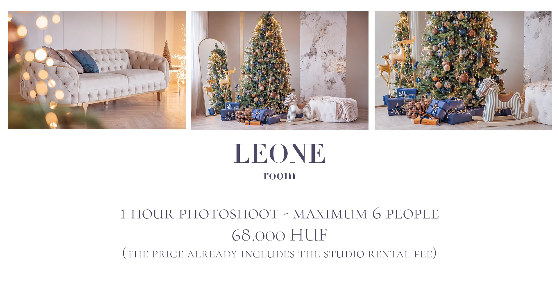 Christmas photo session Budapest - Leone