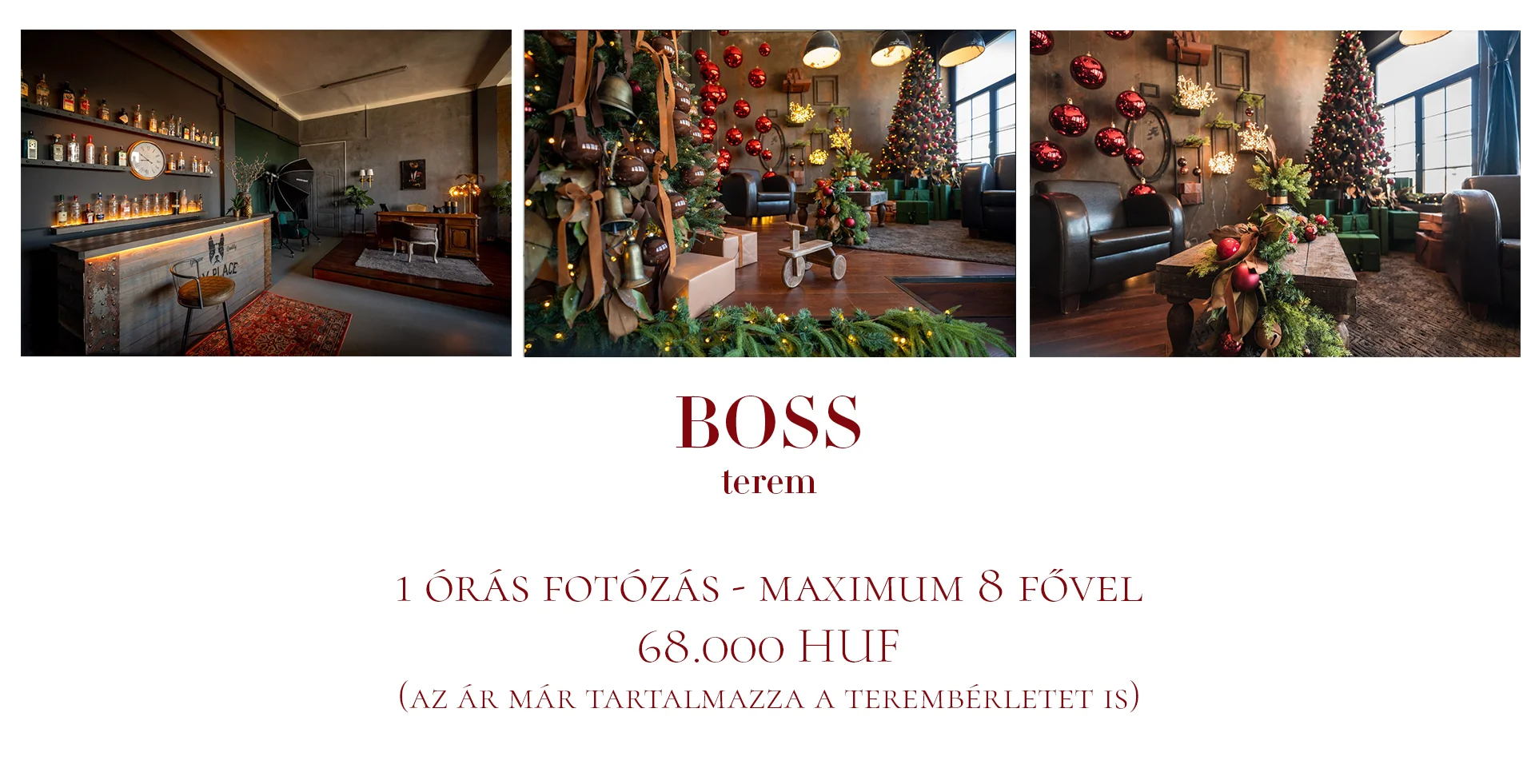 Karácsonyi családi fotózás - Boss terem - Budapest